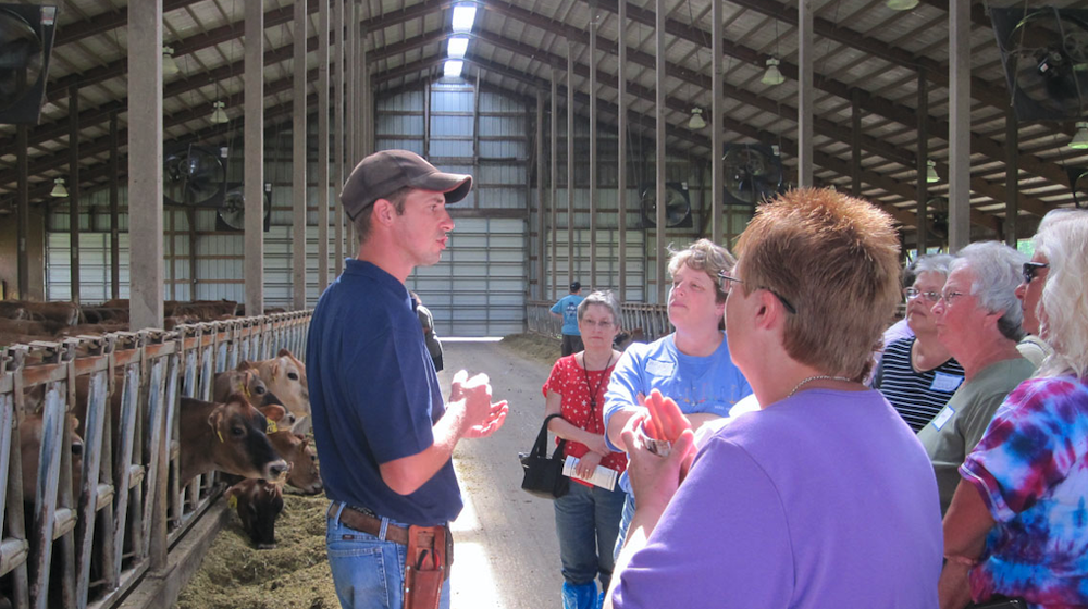 farmer answering questions in barn