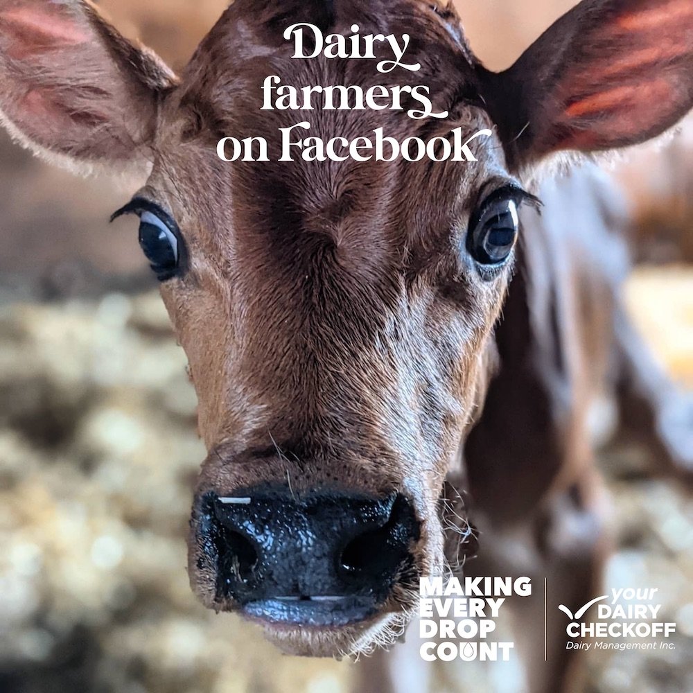 dairy farmers on facebook
